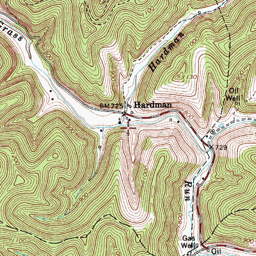 Topographic Map of Hardman Fork, WV