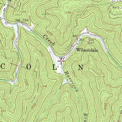 Topographic Map of Harrison Branch, WV