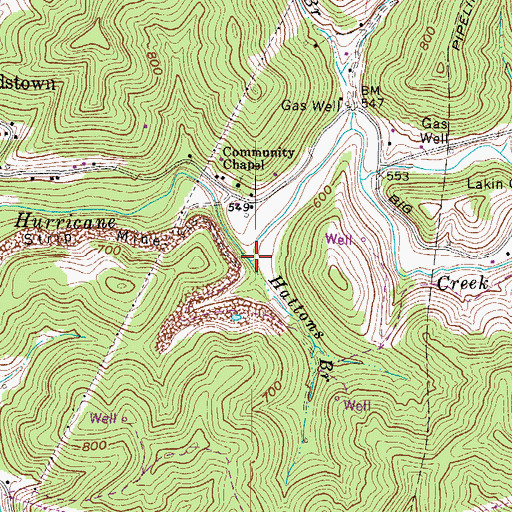 Topographic Map of Hattons Branch, WV