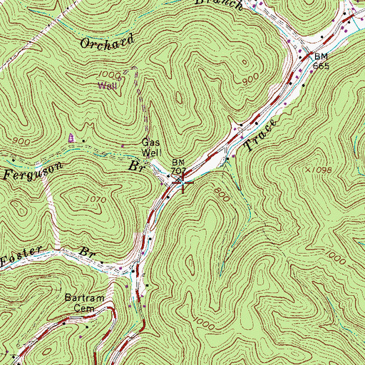 Topographic Map of Henry Ferguson Branch, WV