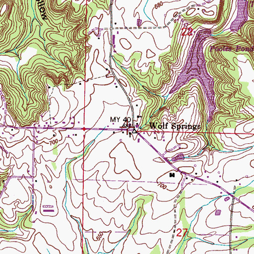 Topographic Map of Wolf Springs, AL