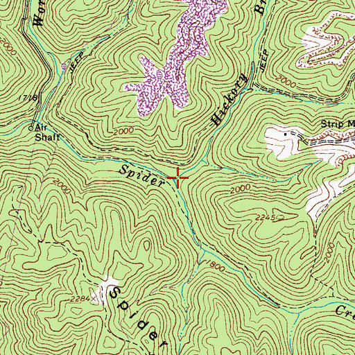 Topographic Map of Hickory Branch, WV