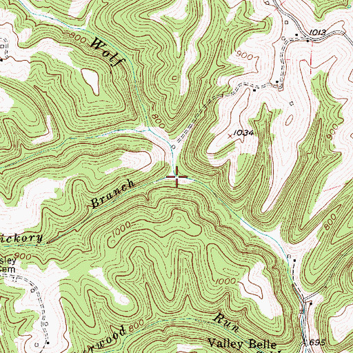 Topographic Map of Hickory Branch, WV