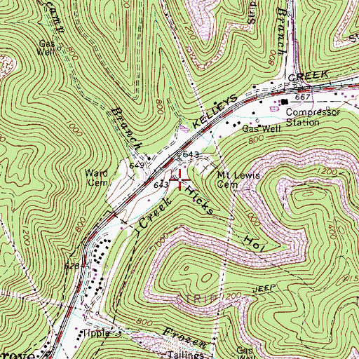 Topographic Map of Hicks Hollow, WV