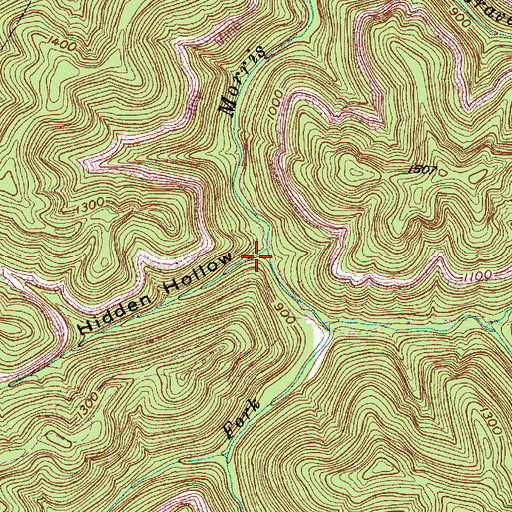 Topographic Map of Hidden Hollow, WV