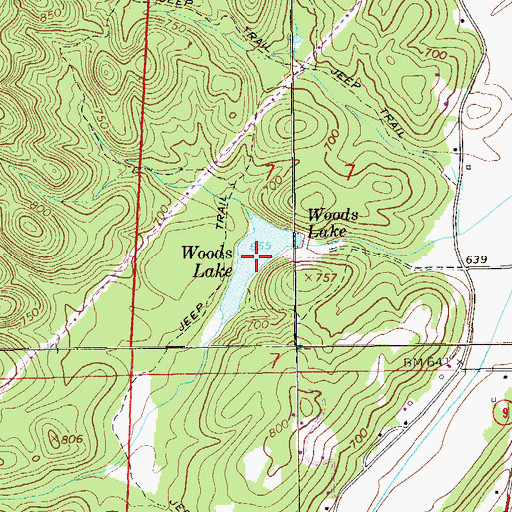 Topographic Map of Woods Lake, AL