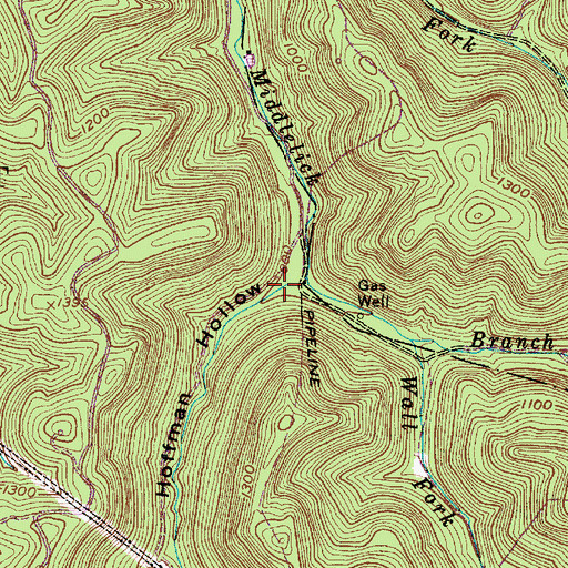 Topographic Map of Hoffman Hollow, WV