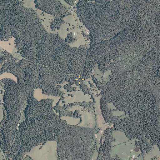 Aerial/Satellite Image of Hog Fork, WV