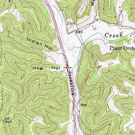 Topographic Map of Hog Hollow, WV