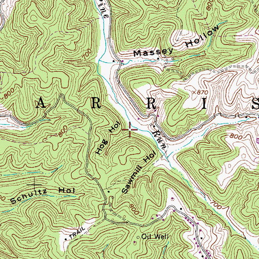 Topographic Map of Hog Hollow, WV