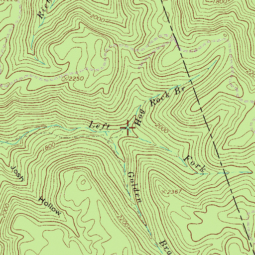 Topographic Map of Hog Rock Branch, WV