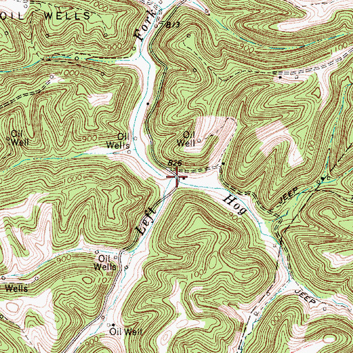 Topographic Map of Hog Run, WV