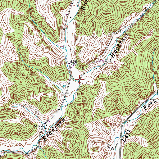 Topographic Map of Hogtrail Run, WV