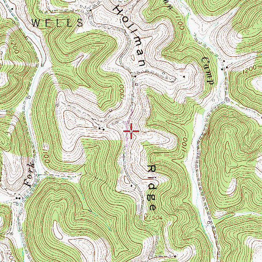 Topographic Map of Hollman Ridge, WV