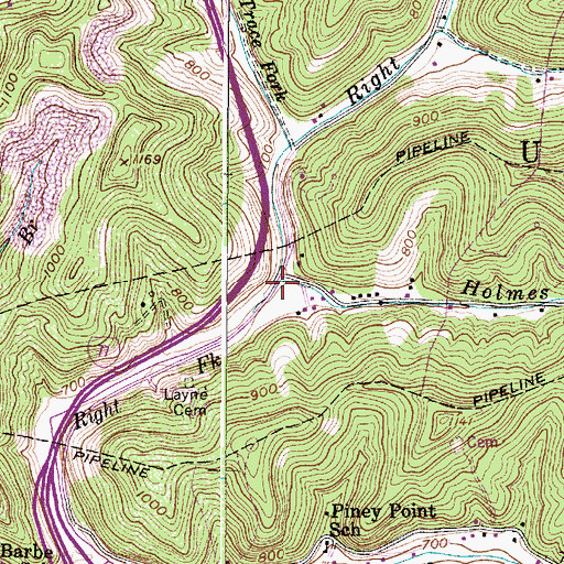 Topographic Map of Holmes Branch, WV