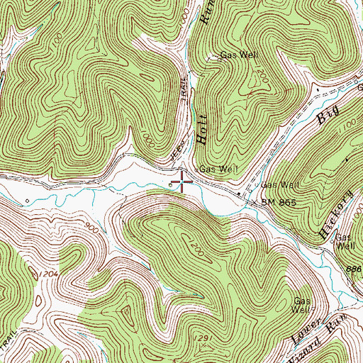 Topographic Map of Holt Run, WV