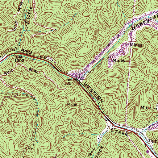 Topographic Map of Honeycamp Branch, WV