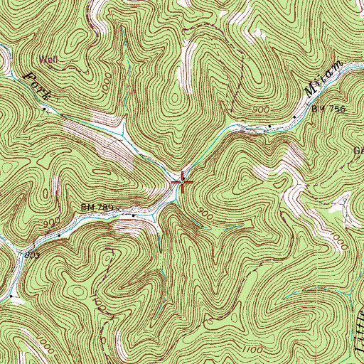Topographic Map of Honeytrace Fork, WV