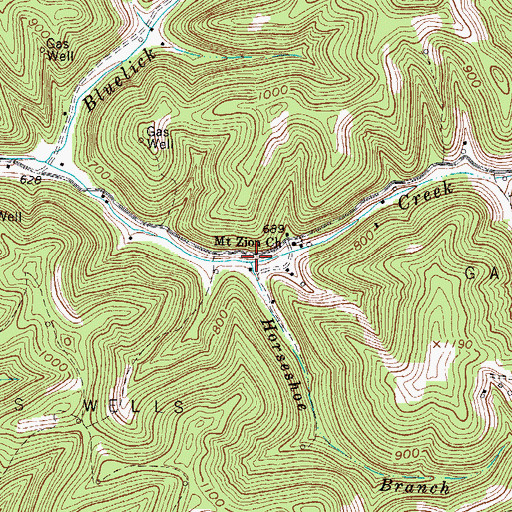 Topographic Map of Horseshoe Branch, WV