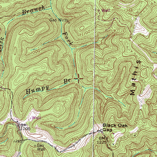 Topographic Map of Humpy Branch, WV