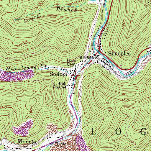 Topographic Map of Hurricane Branch, WV