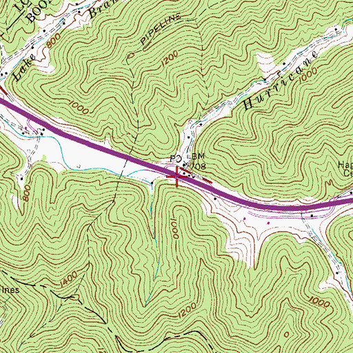 Topographic Map of Hurricane Branch, WV