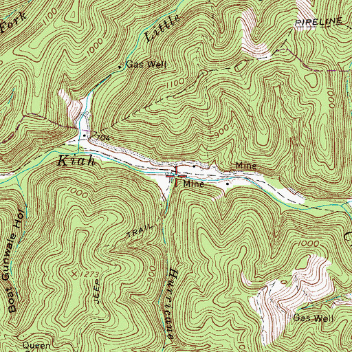 Topographic Map of Hurricane Branch, WV