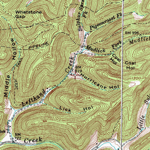 Topographic Map of Hurricane Hollow, WV