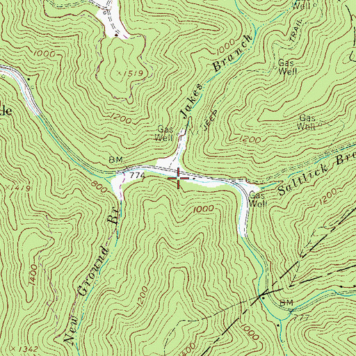 Topographic Map of Jakes Branch, WV