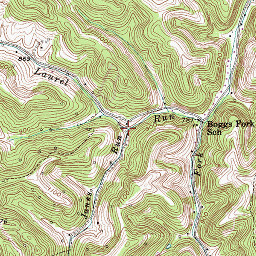 Topographic Map of Janes Run, WV