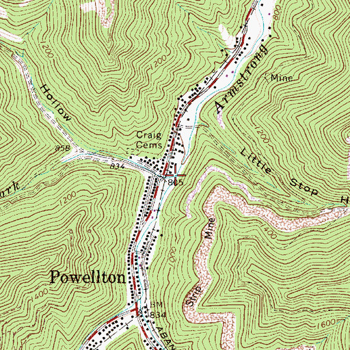 Topographic Map of Jenkins Fork, WV