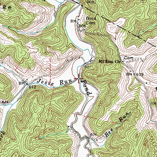 Topographic Map of Jesse Run, WV