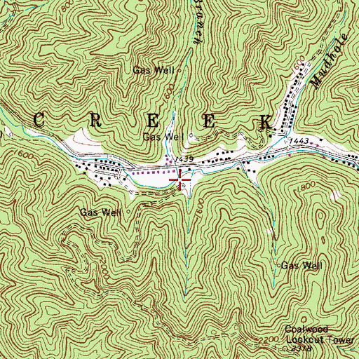 Topographic Map of Jim Branch, WV