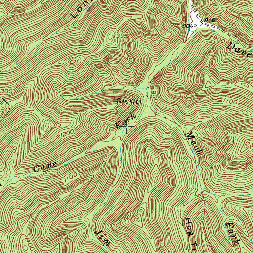 Topographic Map of Jim Lick Fork, WV