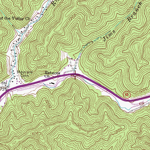 Topographic Map of Jims Branch, WV