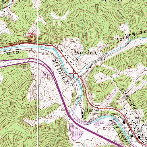 Topographic Map of Jockeycamp Run, WV