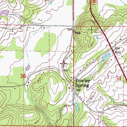 Topographic Map of Fowler Springs Baptist Church, AL