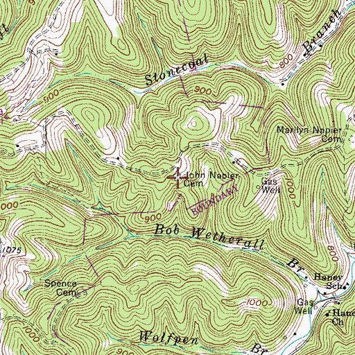 Topographic Map of John Napier Cemetery, WV