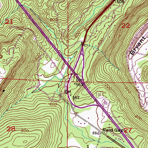 Topographic Map of Reids, AL