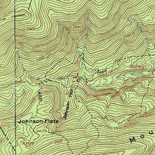 Topographic Map of Johnson Hollow, WV