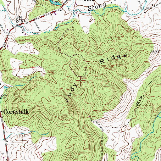 Topographic Map of Judy Ridge, WV