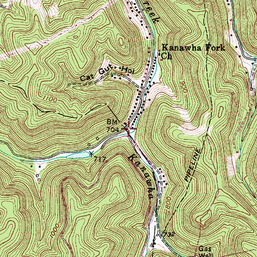 Topographic Map of Kanawha Fork, WV