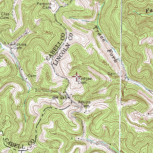 Topographic Map of Keesee Cemetery, WV
