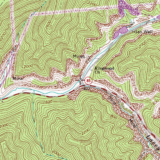 Topographic Map of Lacey Branch, WV