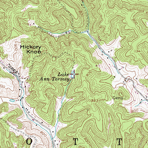 Topographic Map of Lake Ann Tormey, WV