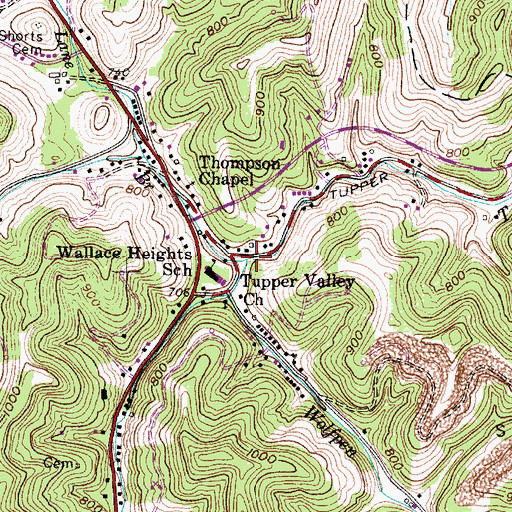 Topographic Map of Lane Branch, WV