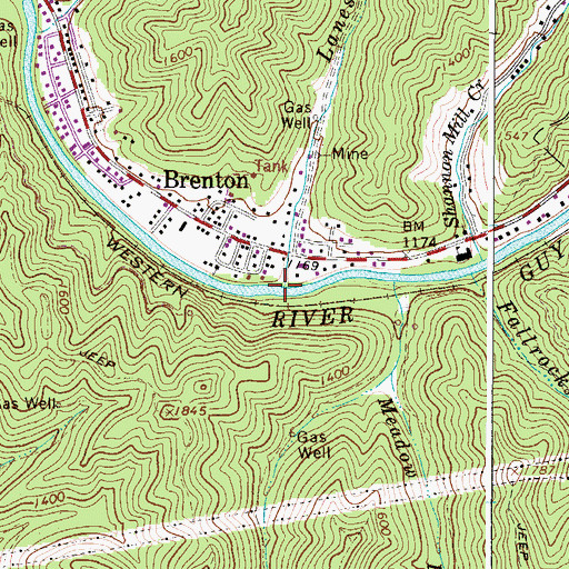 Topographic Map of Lanes Branch, WV