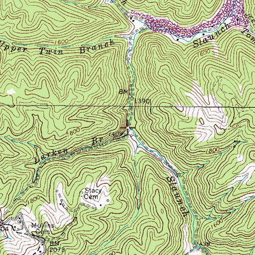 Topographic Map of Larken Branch, WV