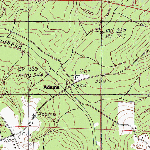 Topographic Map of Mount Carmel Baptist Church, AL