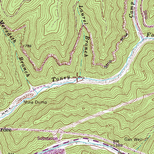 Topographic Map of Laurel Branch, WV